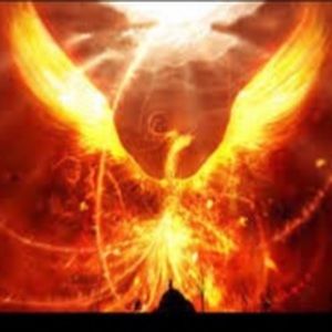 Meet your Posher, Jack